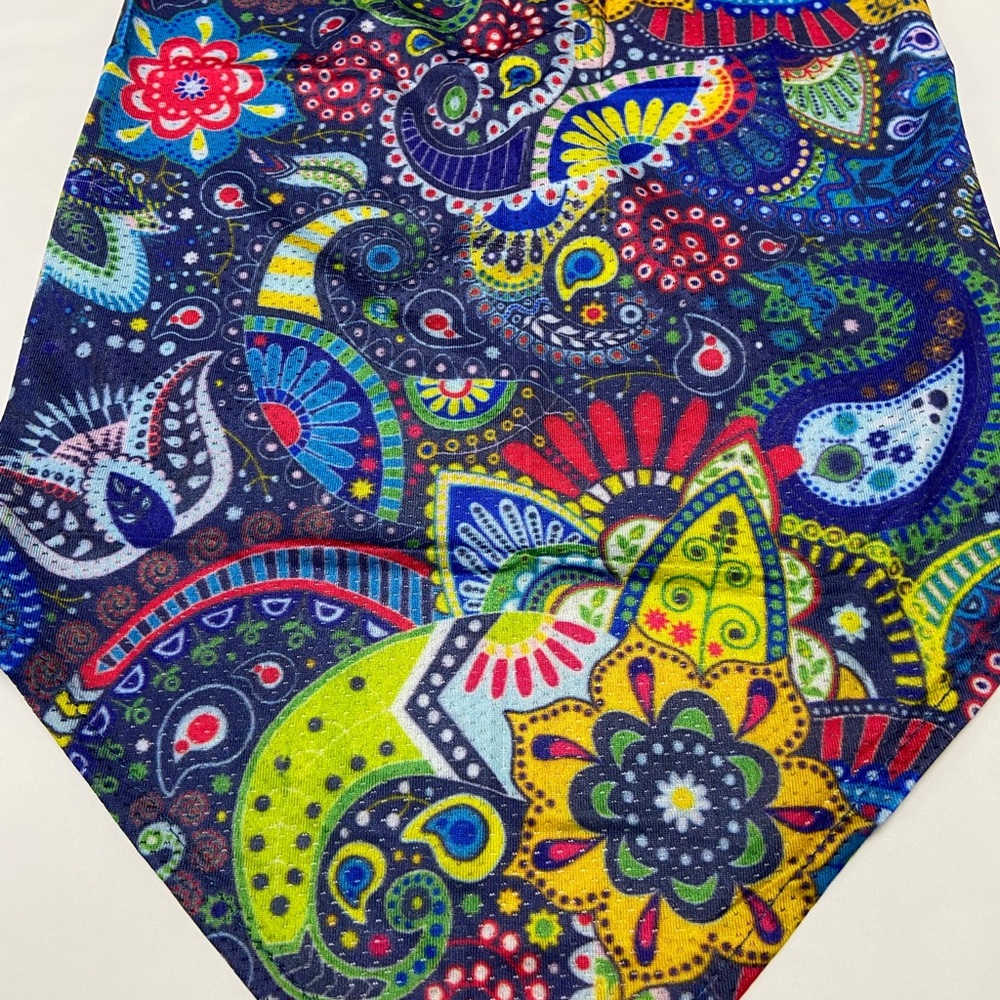 Colorful Paisley Mask - Picture 6 of 10